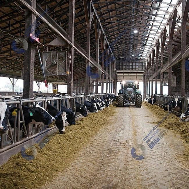 prefab steel structure cowshed2(001)